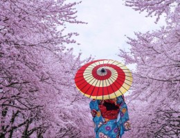Khám phá những nét văn hoá truyền thống đặc sắc của đất nước Nhật Bản