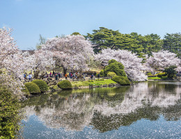 Những điểm đến mùa xuân tốt nhất ở Nhật Bản