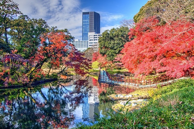 Những địa điểm tham quan mang đậm dấu ấn lịch sử văn hóa ở Tokyo, Nhật Bản