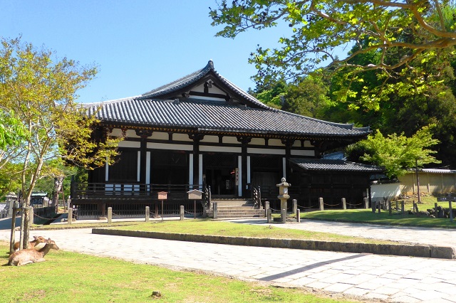 Khám phá nét đẹp tâm linh và cảnh quan ở chùa Todai-ji, Nhật Bản