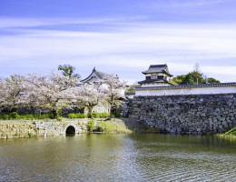 Khám phá thành phố Fukuoka – nơi lưu giữ lịch sử và văn hóa độc đáo của Nhật Bản