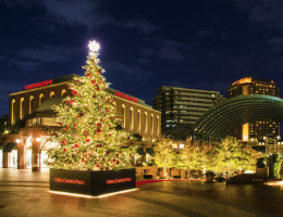 6 khu chợ Giáng sinh được yêu thích nhất thủ đô Tokyo