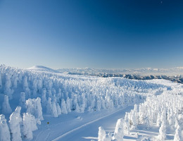 Top 5 khu trượt tuyết kết hợp suối nước nóng nổi tiếng ở phía Bắc Nhật Bản