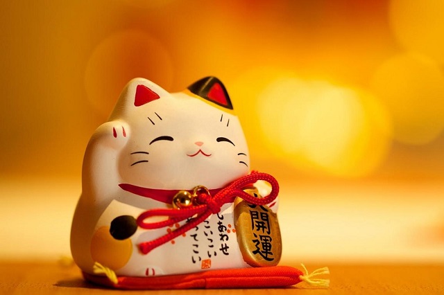 Mèo loài vật đem lại may mắn của người Nhật, và bạn cũng có thể tự tay tạo ra những chú mèo may mắn cho riêng mình