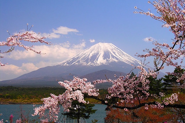 Tokyo là thành phố du lịch nổi tiếng hút khách ở Nhật Bản